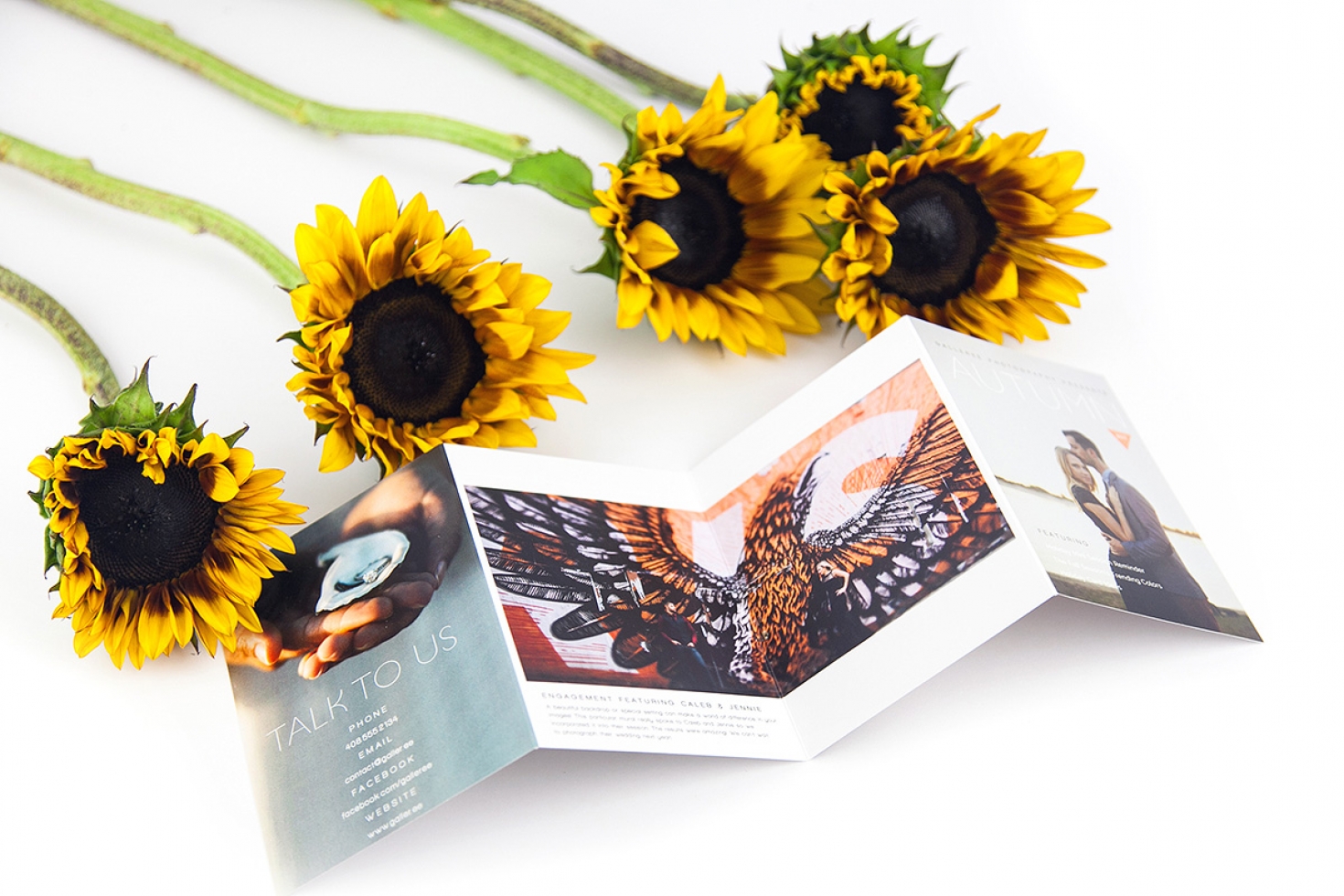 Fall Newsletter Brochure Photography Marketing